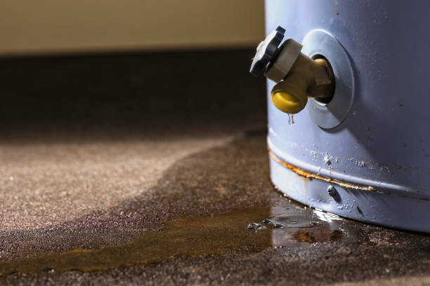 Best Flooded house restoration  in Sanger, TX
