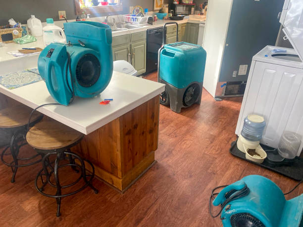 Best Carpet water damage restoration  in Sanger, TX