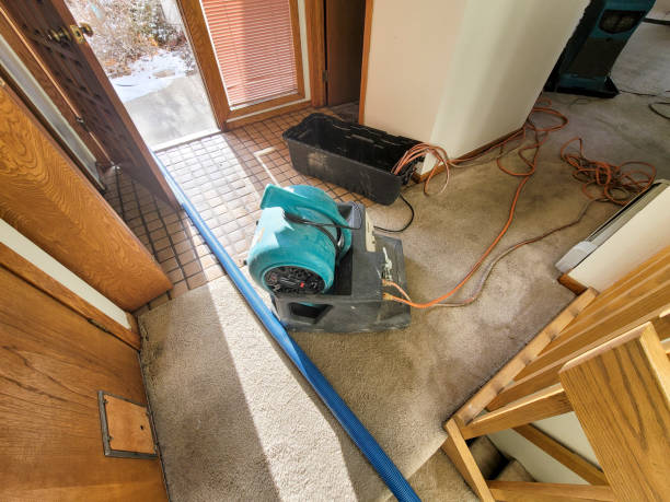 Water damage restoration insurance claims in Sanger, TX