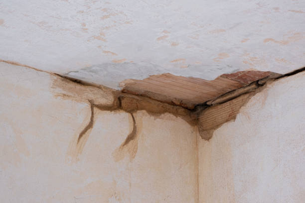 Best Flood damage cleanup  in Sanger, TX