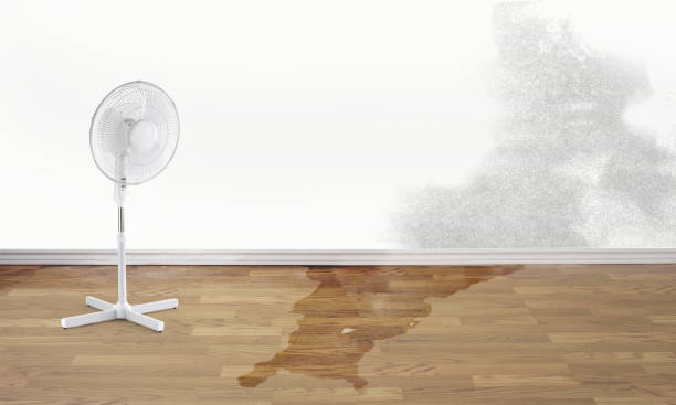 Best Sewage cleanup and water damage restoration  in Sanger, TX