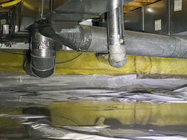 Best Basement water damage restoration  in Sanger, TX