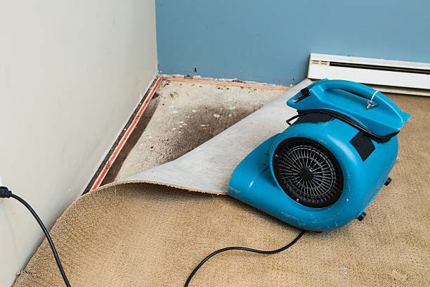 Best Professional water damage repair  in Sanger, TX